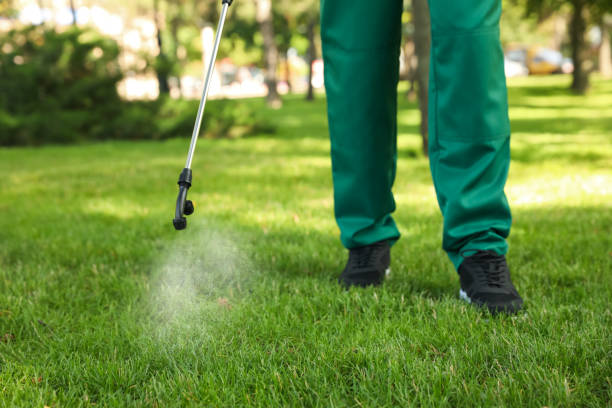 Best Emergency Pest Control  in Greensburg, LA