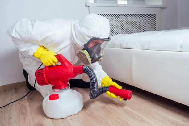 Best Mosquito Control Services  in Greensburg, LA