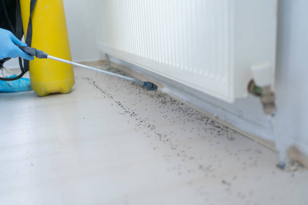 Best Commercial Pest Control Services  in Greensburg, LA